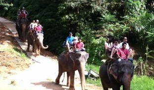 Khaolak Elephant Trekking