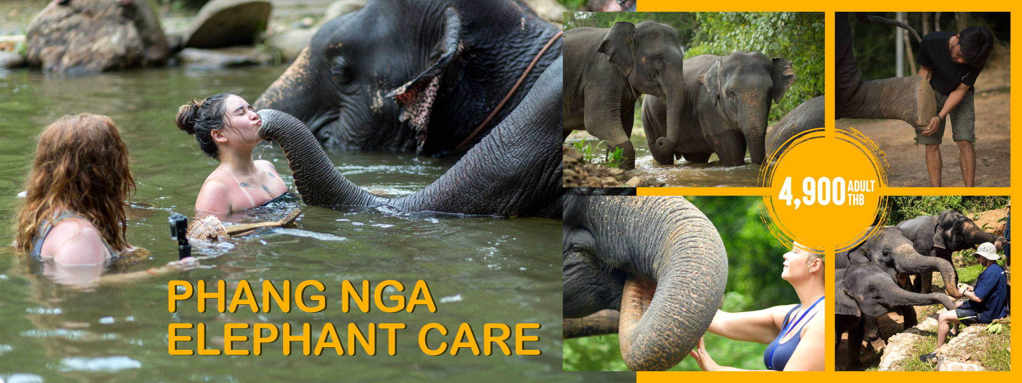 Phang Nga Elephant Care Program